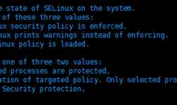 linux安装Oracle11G