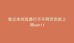 笔记本浏览器打不开网页但能上网win11