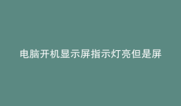 电脑开机显示屏指示灯亮但是屏不亮