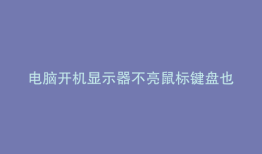 电脑开机显示器不亮鼠标键盘也不亮吗