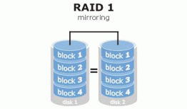RAID在数据库存储上的应用
