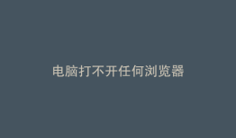 电脑打不开任何浏览器