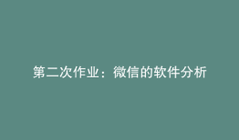 第二次作业：微信的软件分析
