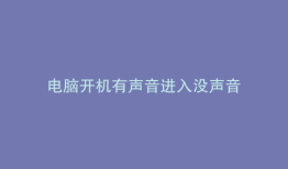 电脑开机有声音进入没声音