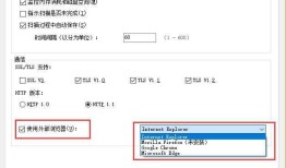 IBM Security AppScan 简单实用说明