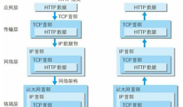 Http，Https，socket，websocket，TCP，UDP
