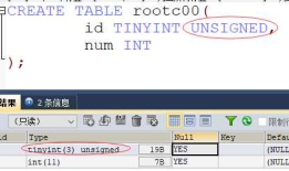 Mysql--数据类型