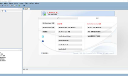 sqldeveloper的安装及其使用教程