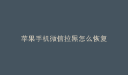 苹果手机微信拉黑怎么恢复