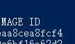 .netcore/docker实践， It was not possible to find any installed .NET Core SDKs