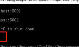 ASP.NET Core 配置和使用环境变量