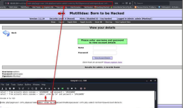 Ethical Hacking - Web Penetration Testing(9)