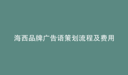 海西品牌广告语策划流程及费用