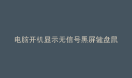 电脑开机显示无信号黑屏键盘鼠标灯不亮