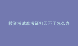 教资考试准考证打印不了怎么办
