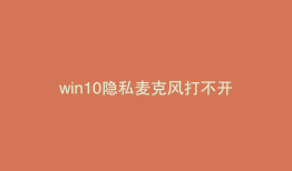 win10隐私麦克风打不开