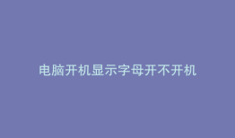 电脑开机显示字母开不开机