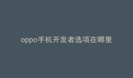 oppo手机开发者选项在哪里打开是绿色球