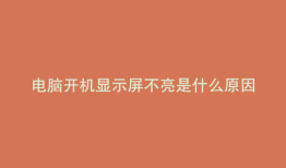 电脑开机显示屏不亮是什么原因