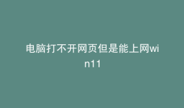 电脑打不开网页但是能上网win11