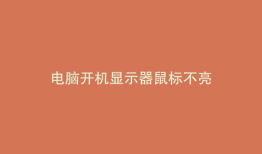 电脑开机显示器鼠标不亮