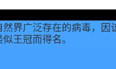 关于 Android 测量文字宽度的方法
