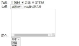 12.HTML表单标签