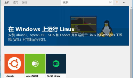 WSL(Windows Subsystem for Linux)的安装与使用