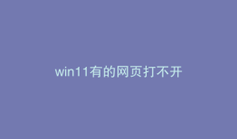 win11有的网页打不开