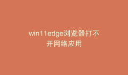 win11edge浏览器打不开网络应用