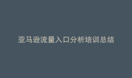 亚马逊流量入口分析培训总结
