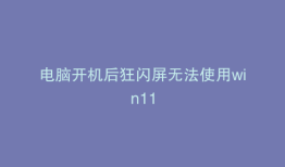 电脑开机后狂闪屏无法使用win11