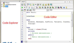 Delphi之Code Explorer