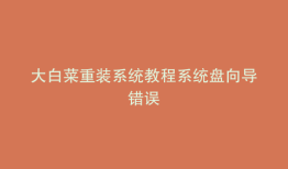 大白菜重装系统教程系统盘向导错误
