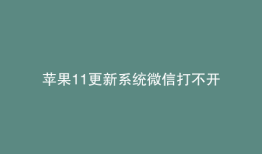 苹果11更新系统微信打不开