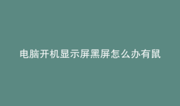 电脑开机显示屏黑屏怎么办有鼠标