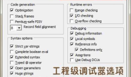 Delphi应用程序的调试（十）调试器选项