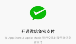 vivo手机微信如何打开免密支付功能