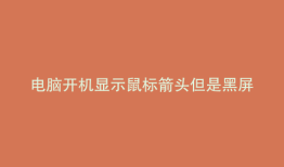 电脑开机显示鼠标箭头但是黑屏又重启