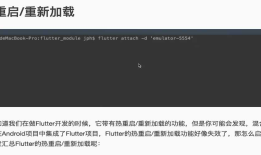 8-4 Flutter Android混合开发实战-调试与发布