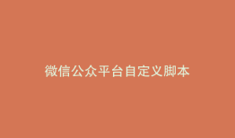 微信公众平台自定义脚本
