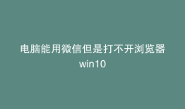 电脑能用微信但是打不开浏览器win10
