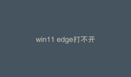 win11 edge打不开
