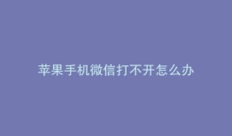 苹果手机微信打不开怎么办