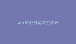 win10个别网站打不开