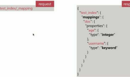 【ElasticSearch】：Mapping相关