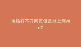 电脑打不开网页但是能上网win7