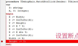 Delphi应用程序的调试（四）The Debug Inspector