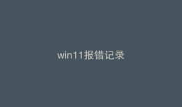 win11报错记录