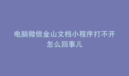 电脑微信金山文档小程序打不开怎么回事儿